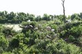 High Island_20100424_004